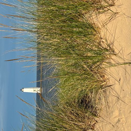 Area photos:  frankfort beach