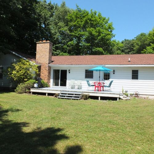 Overview:  the backyard in summer