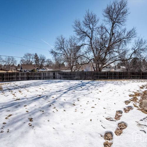 - stylish backyard blanketed in snow with tall trees and full privacy fencing
- ideal for dogs, kids, and outdoor fun year round with plenty of open space
- peaceful and secluded feel while still being close to town and attractions