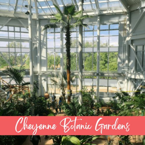 Breathe in fresh air and lush scenery at cheyenne botanic gardens.