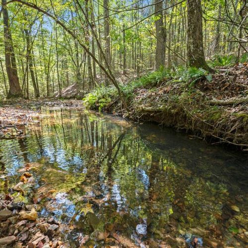 Creek on the property!