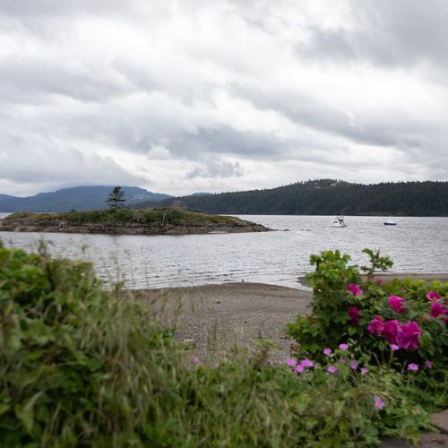 Indian Island Sanctuary in Eastsound. Explore marine life and the surrounding shoreline at the Eastsound Waterfront Park.