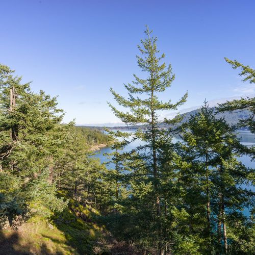 f4447a68 2432 493e a012 bcad784b51c8 homerunner