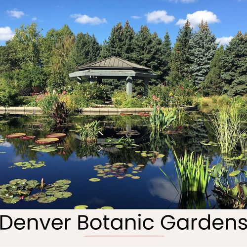 Don’t miss the denver botanic gardens! An oasis of color and calm in the heart of the city.