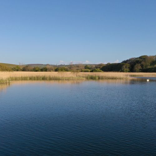 F6f44b4b c3d4 4f7c 9c3f 90b3944210ca homerunner