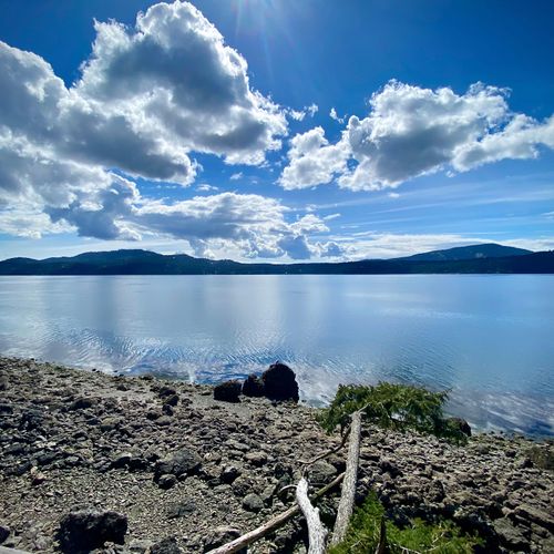 f8db55ab 7666 4250 bf2b 2c1e4fa4854e homerunner