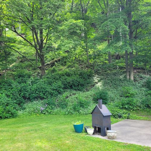 Overall:  the lovely backyard at the base of the dunes. The little house is for having small outdoor fires.