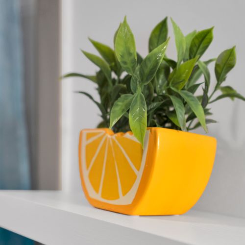 Bold citrus-yellow planter w/ lush greenery brings a bright, tropical energy indoors.