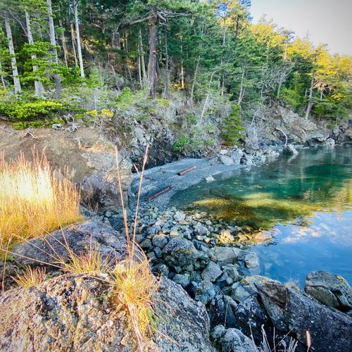 Enjoy a private beach to collect shells and play on the sandy beach.  Discover our driftwood sculptures!