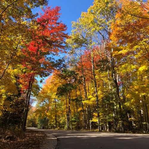 Photos from the area:  the famous fall colors in the area