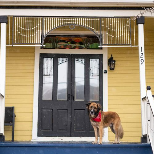 - step onto a cheerful yellow porch that welcomes you with character
- striking black double doors and crisp white trim add timeless elegance
- greeted by a friendly pup in a red bandana, this home has heart and warmth
