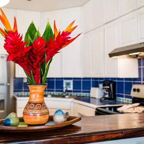 Enjoy all the colors and shapes that the tropics have to offer!