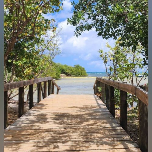 Your secluded escape awaits. Step onto this peaceful boardwalk, framed by natural beauty, leading to tranquil coastal views.