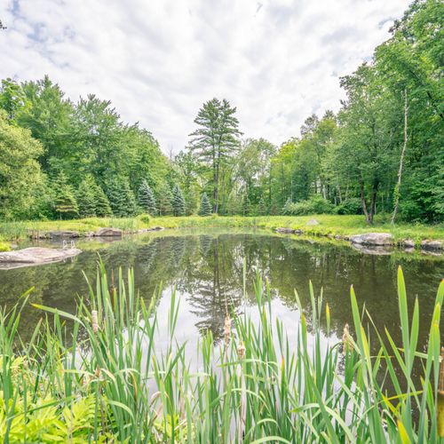 Enjoy your own private pond, an oasis away from the world.