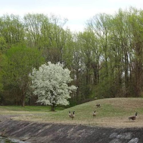 Scenic outdoor area – A serene green space nearby, perfect for a relaxing stroll or enjoying nature.