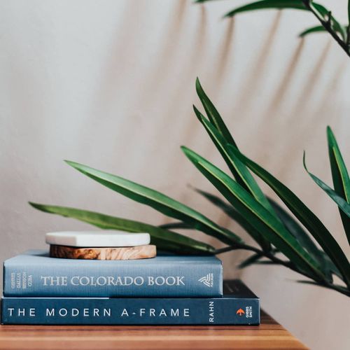 Books to enjoy on the entertainment center