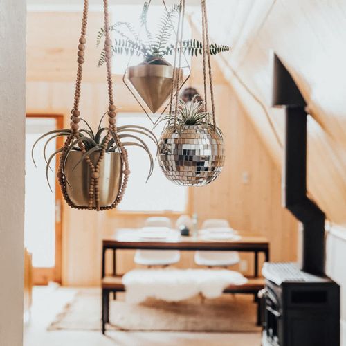 Hanging planters shine in the morning light