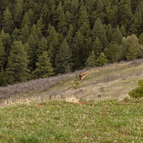 Walk from the house to hiking and biking trails in Apex Park