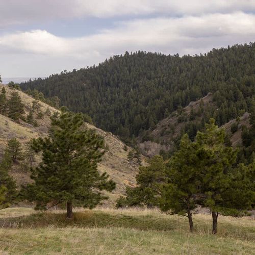 View from back patio