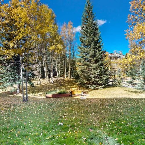 View from back patio