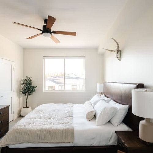 Primary bedroom with king bed