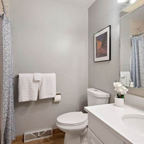 Main Level Hallway Bathroom