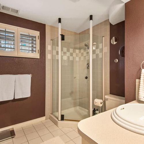 Lower Level Bathroom