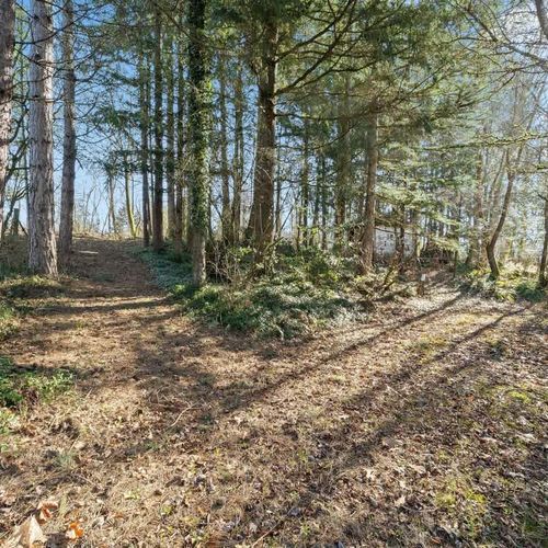 Hiking trails on the property are built for exploring!