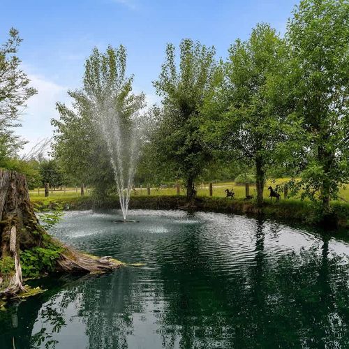 The pond on the property is just at the end of the driveway.