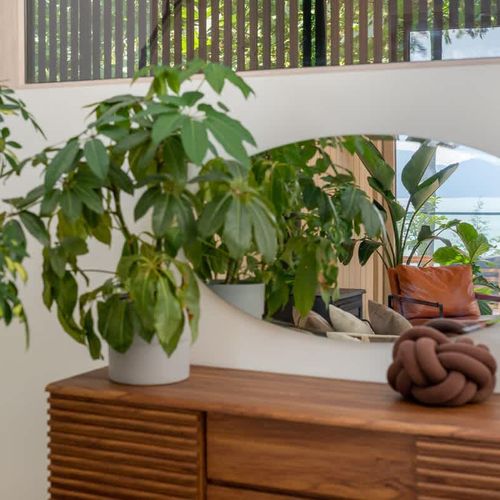 Enjoy the plants throughout that brighten the home.