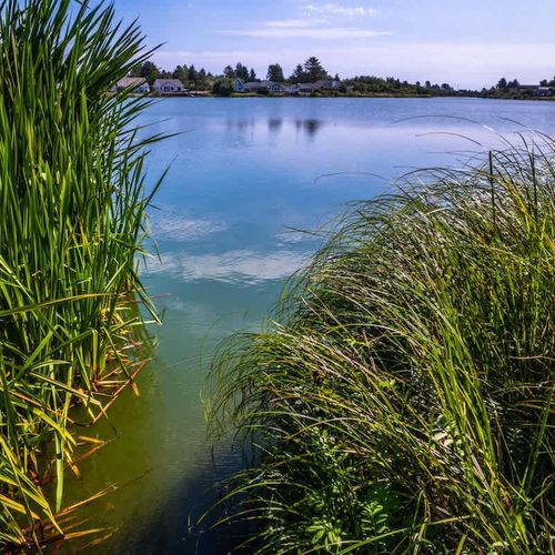 12c77e05 24a9 42 z ZyN homerunner