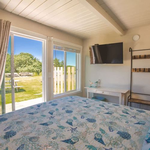 c296c603 1d1a 43 9Arax homerunner