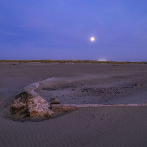 e2a252e1 b908 4f J4S g homerunner