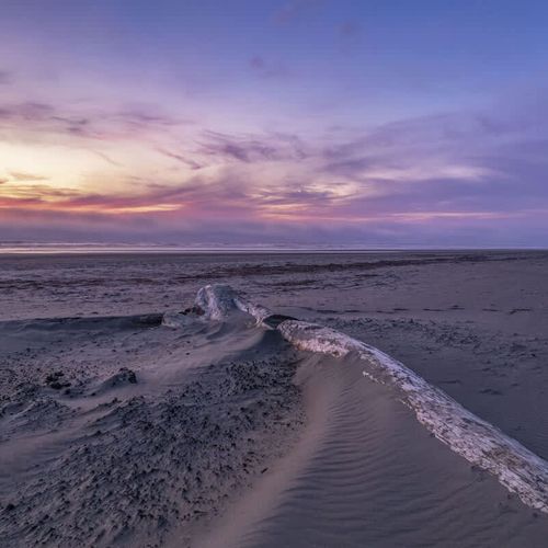 48b2129f 3bb9 4c xLQbA homerunner