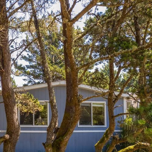 c8ae9f7b 2169 49 WHN3u homerunner