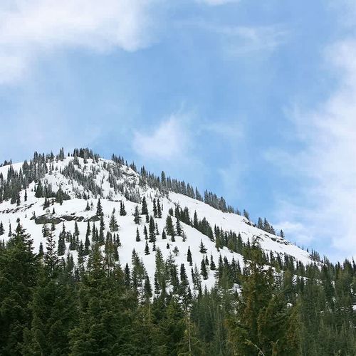 618c65d3 348a 49 PqJjv homerunner