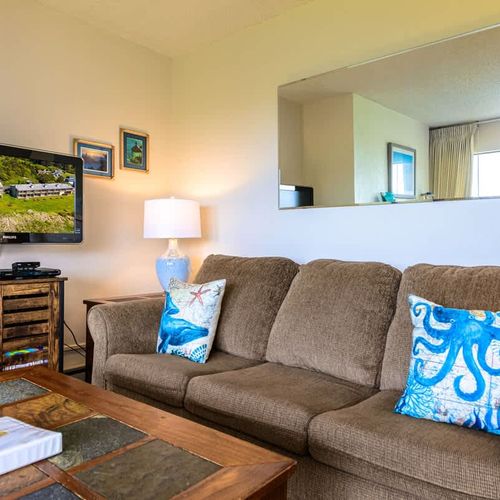 8eb7834a 9cb2 41 eIvmd homerunner