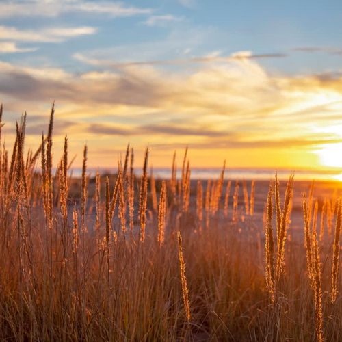 ca2f73b2 f08c 4c Gc8un homerunner