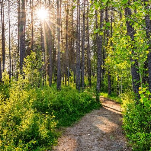 0c044573 3566 48 28 0u homerunner