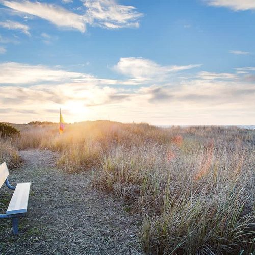 db25682c 60ba 43 g8rXZ homerunner