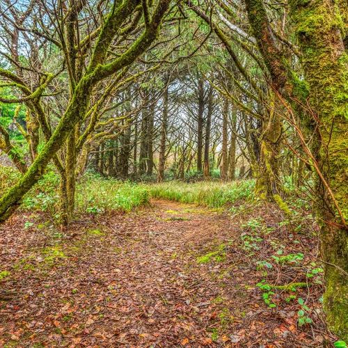 e8cd6407 3713 43 QdxfH homerunner