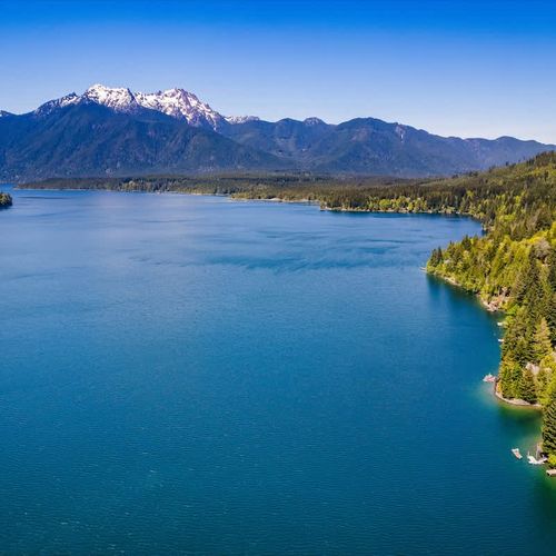 7a8d192a 4e5c 4c IFO homerunner