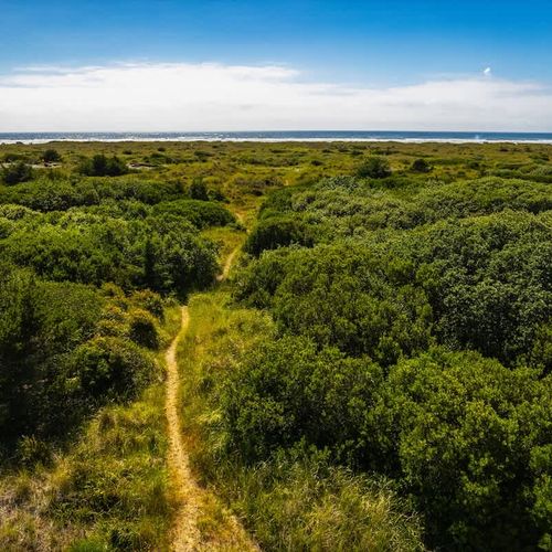 3a81823c dcfc 46 w PH homerunner