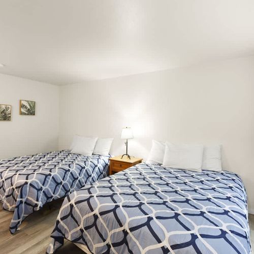 1cea268b df75 40 l5G8U homerunner