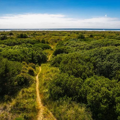 77afad8e 2827 4f vKCdp homerunner