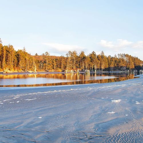 7b6550a8 9b7c 44 Wph p homerunner