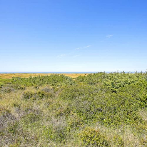 9716bda4 f5bd 42 DRvuU homerunner