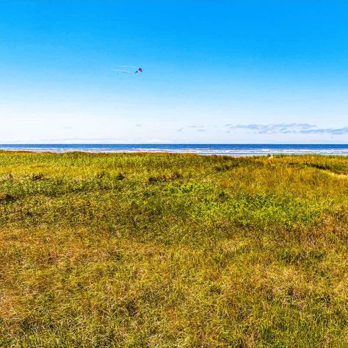 a63e4e55 1484 4c gIlad homerunner