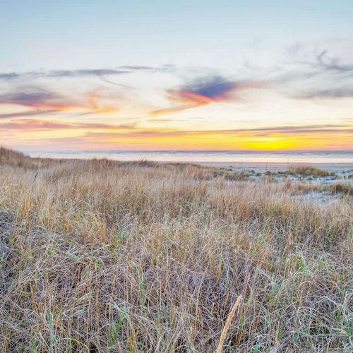 ad0d784a ee0c 40 6gYHu homerunner