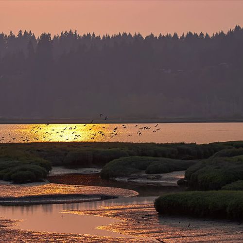 75f55e29 76de 4d uxA I homerunner